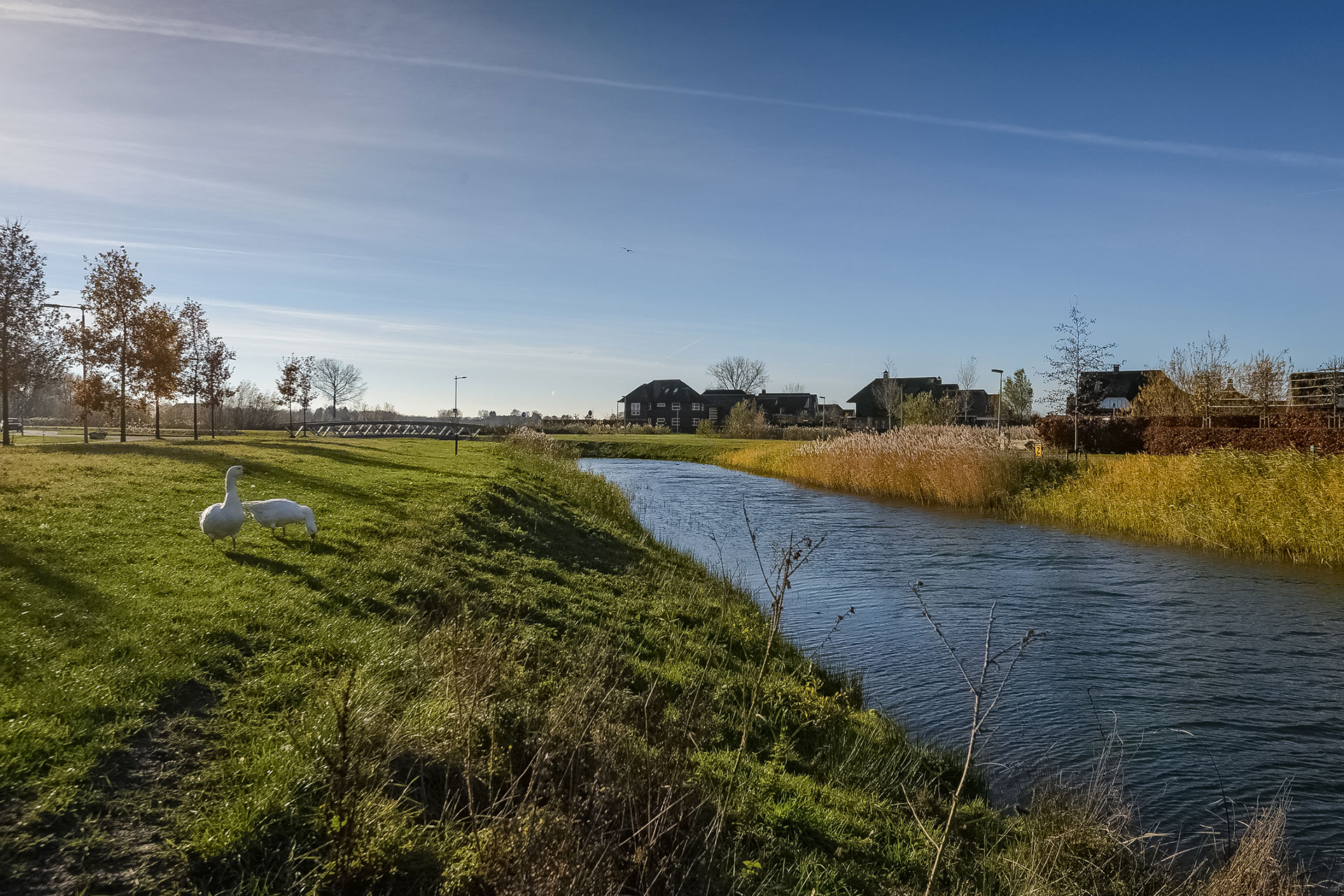 Van Sonsbeeck makelaars